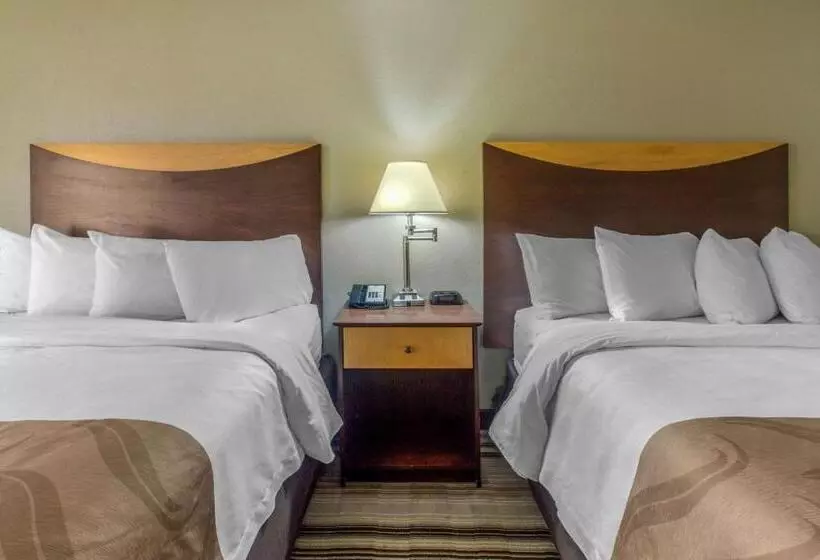 Отель Quality Inn I81 Exit 23