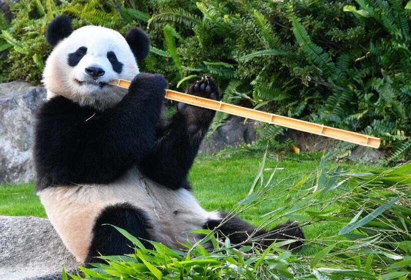 בית מלון כפרי Sanrakuso