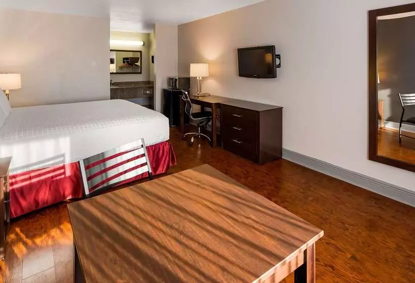 Surestay Plus Hotel By Best Western Hammond