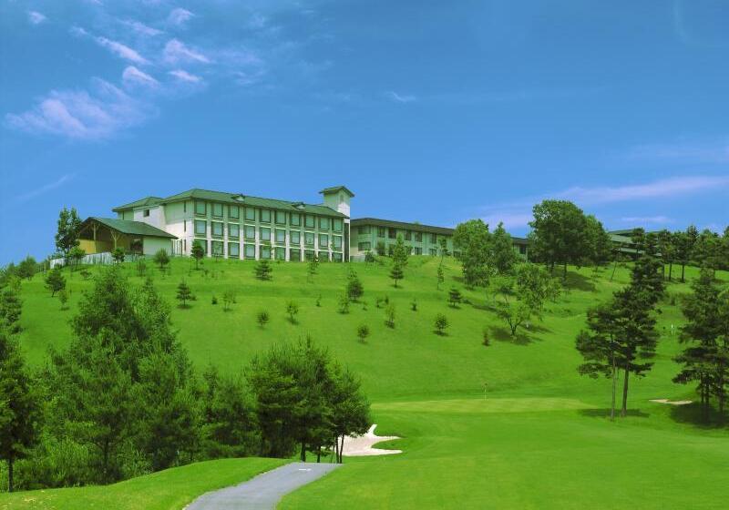 Отель Tsumagoi Prince