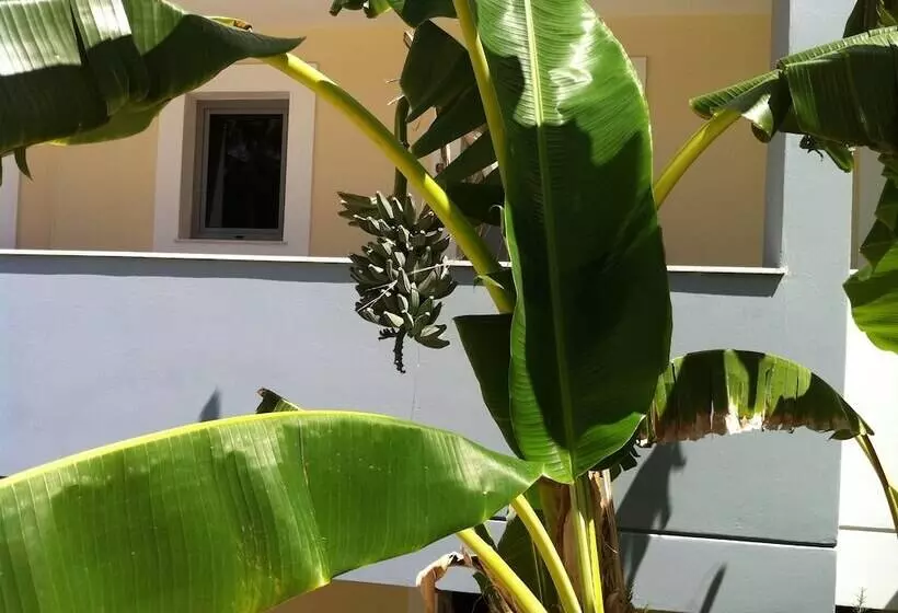 Olga S Paradise Hotel Apartments