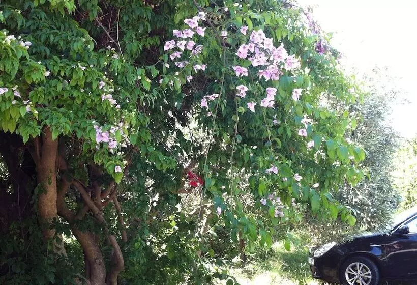 Olga S Paradise Hotel Apartments