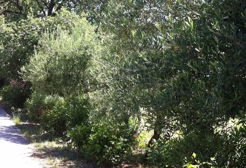 Olga S Paradise Hotel Apartments