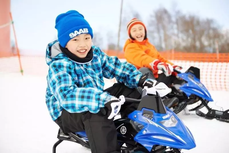 Отель Livemax Resort Hakodate Greenpia Onuma