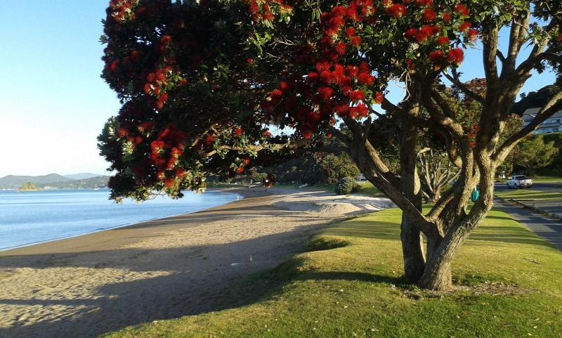 צימר Allegra House