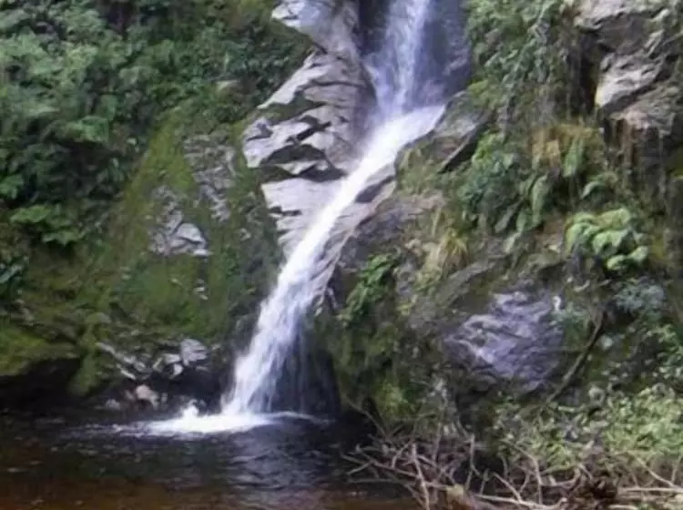 Fitzherbert Court Motel