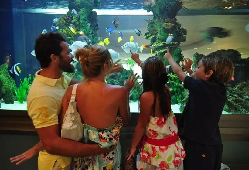 Sunset Royal Beach Resort All Inclusive