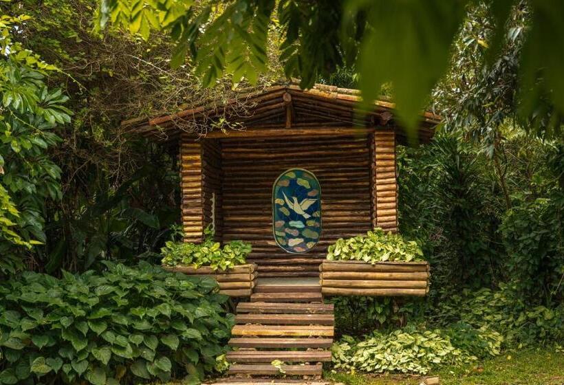 Отель Grinbergs Village