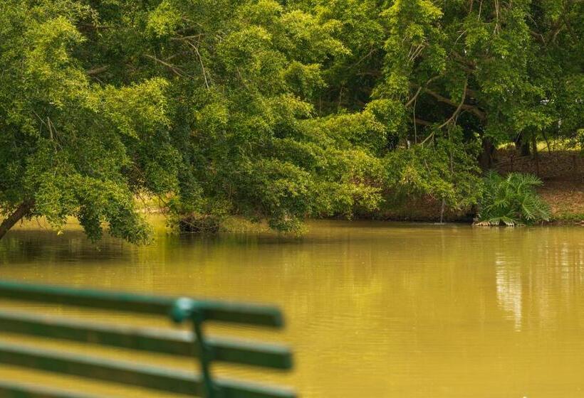 Отель Grinbergs Village