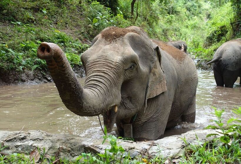 Отель The Sanctuary Pakbeng Lodge