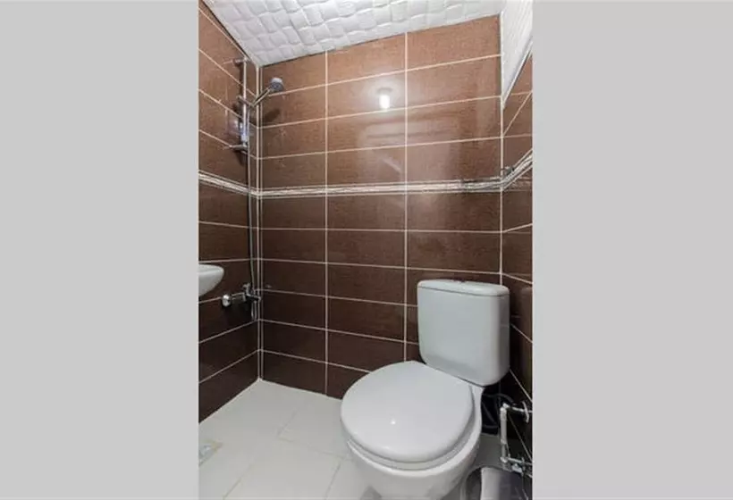 Taksim Hostel Green House Istanbul