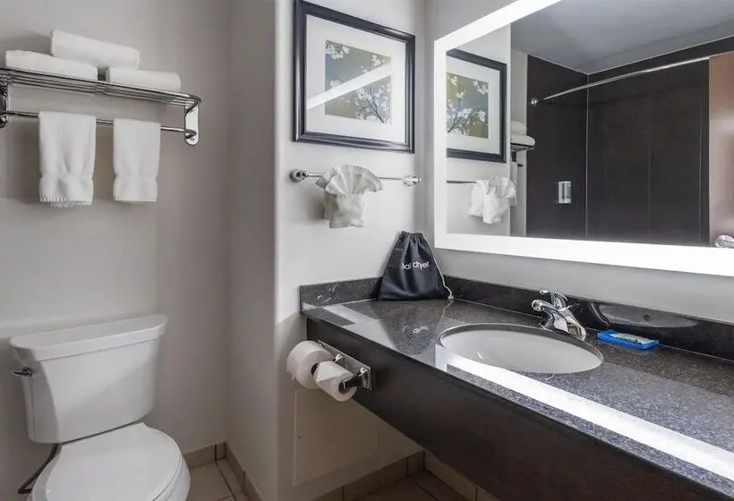 ホテル Best Western Dawson Creek