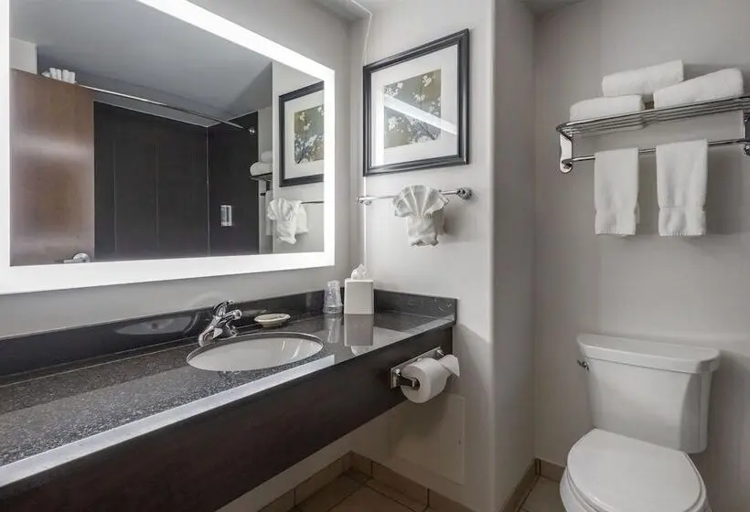 ホテル Best Western Dawson Creek
