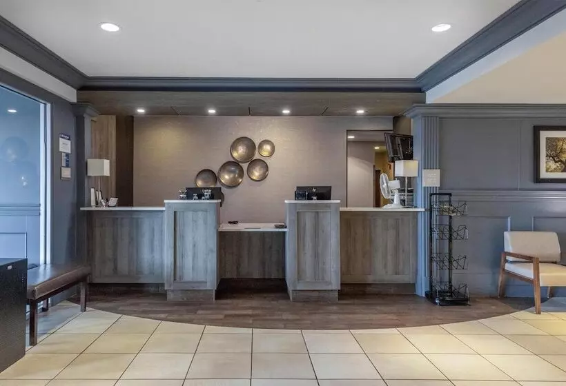 ホテル Best Western Dawson Creek