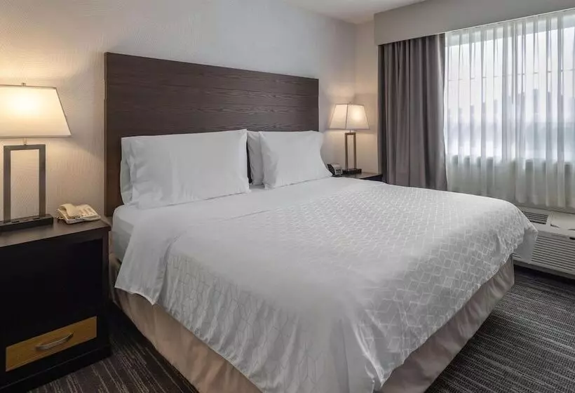 ホテル Best Western Dawson Creek