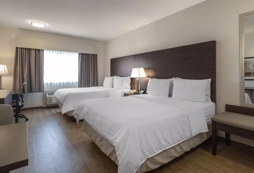 ホテル Best Western Dawson Creek