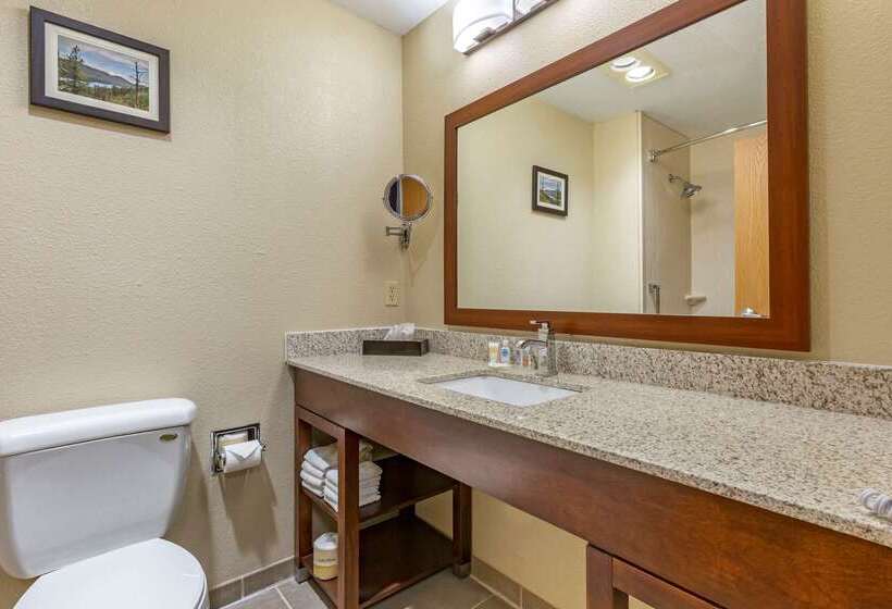 ホテル Comfort Inn & Suites Lordsburg I 10