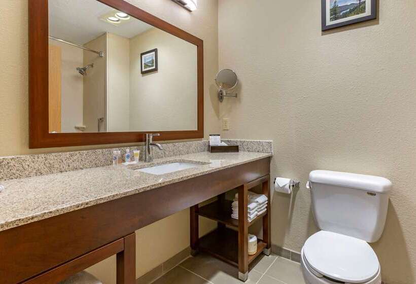 ホテル Comfort Inn & Suites Lordsburg I 10
