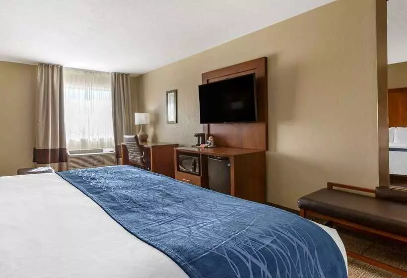 酒店 Comfort Inn & Suites Lordsburg I 10