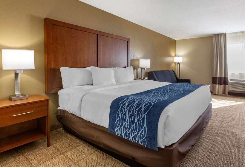 ホテル Comfort Inn & Suites Lordsburg I 10