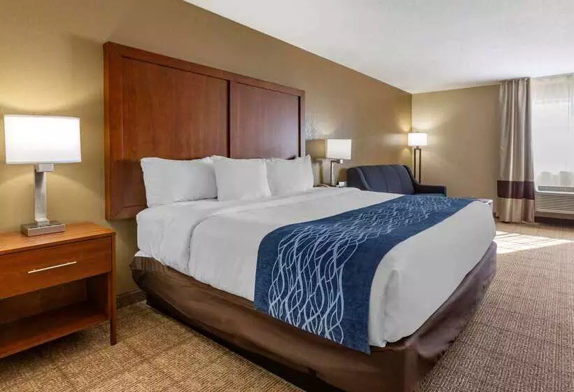 酒店 Comfort Inn & Suites Lordsburg I 10