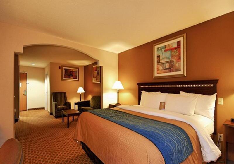 ホテル Comfort Inn & Suites Lordsburg I 10