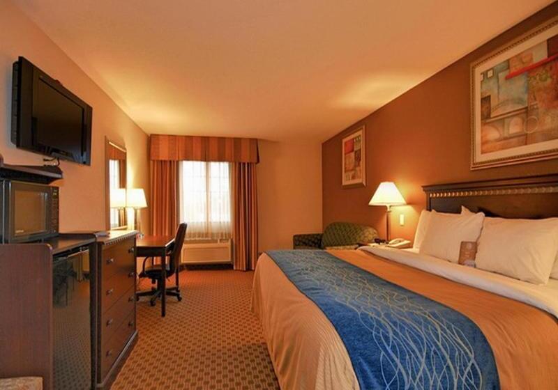 ホテル Comfort Inn & Suites Lordsburg I 10