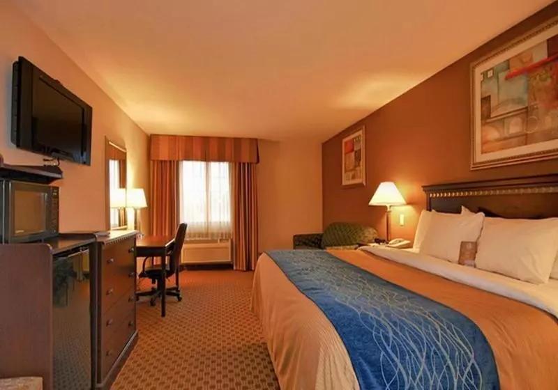 酒店 Comfort Inn & Suites Lordsburg I 10