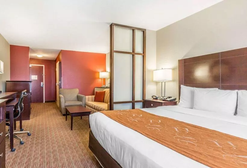 酒店 Comfort Suites