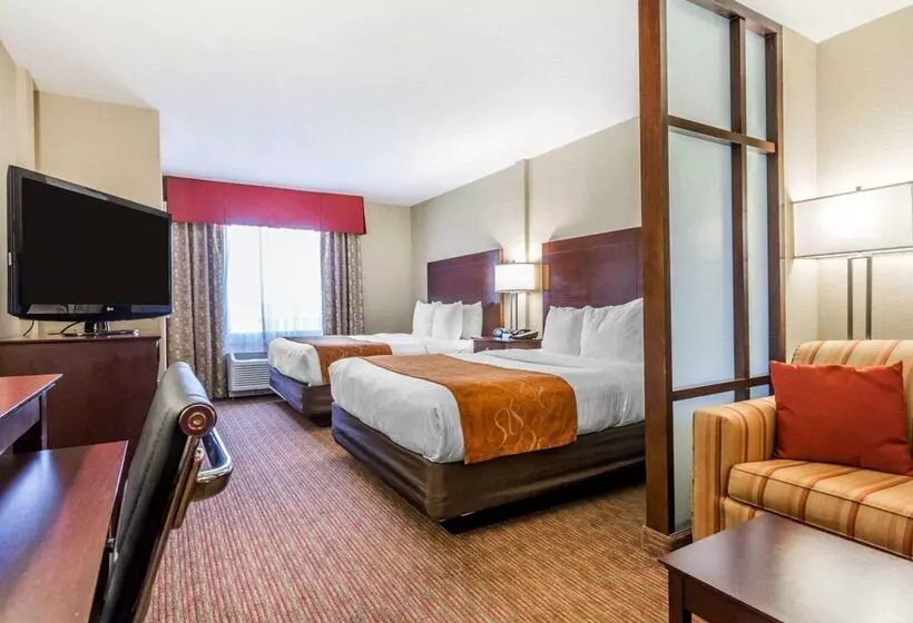 酒店 Comfort Suites