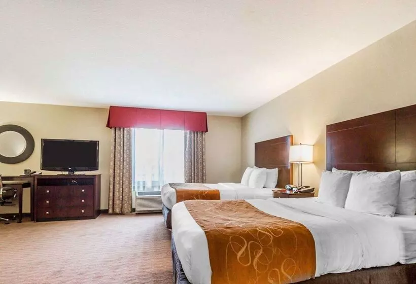 酒店 Comfort Suites