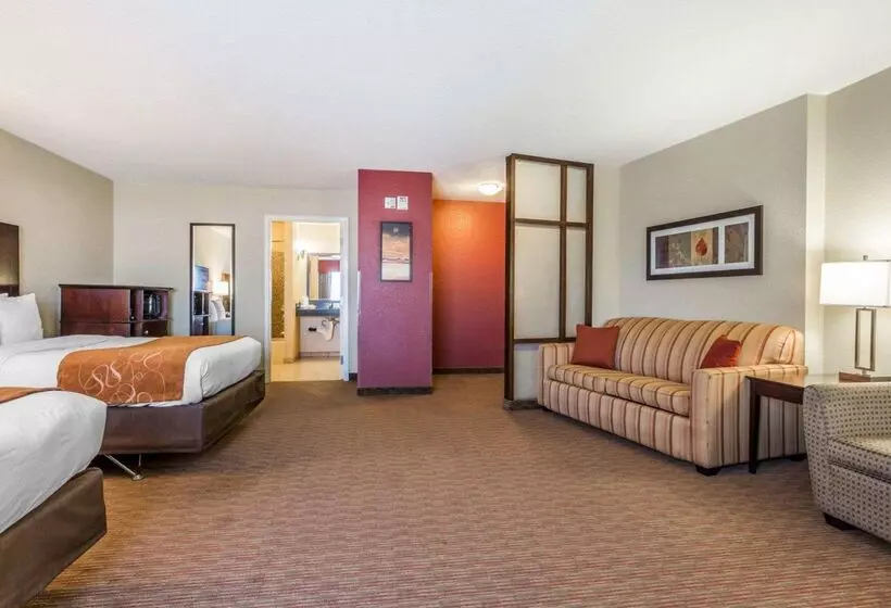 酒店 Comfort Suites