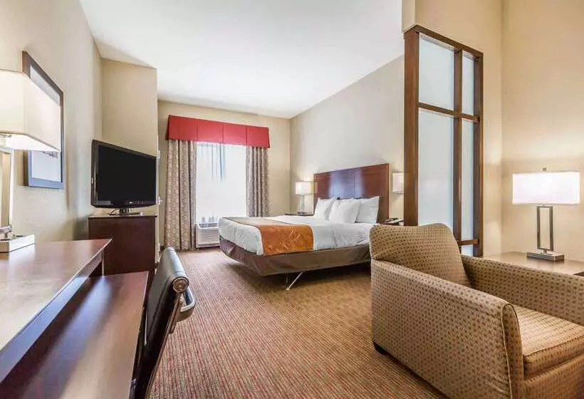 酒店 Comfort Suites