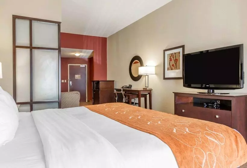 酒店 Comfort Suites