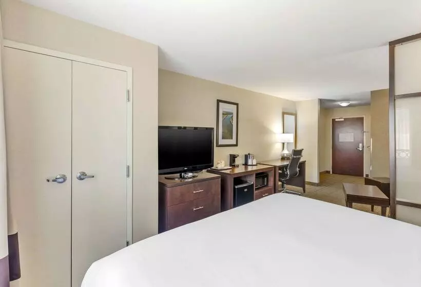 酒店 Comfort Suites