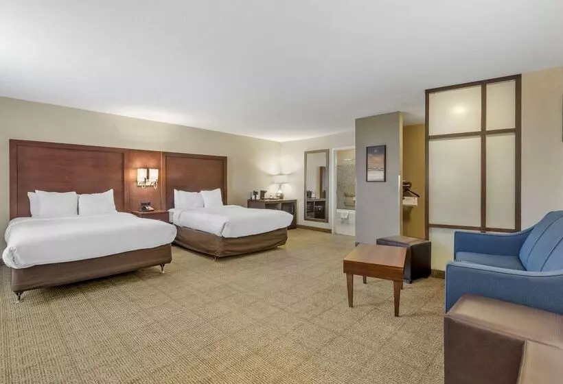 酒店 Comfort Suites