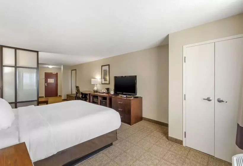 酒店 Comfort Suites