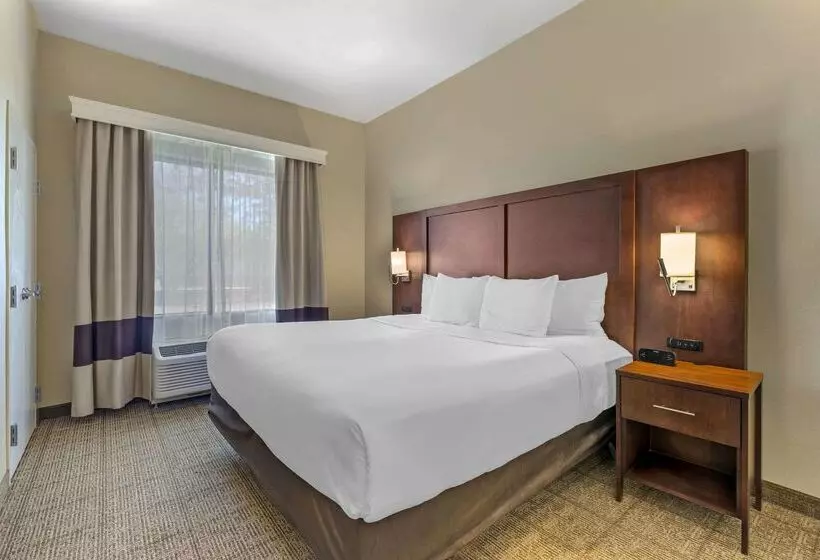 酒店 Comfort Suites