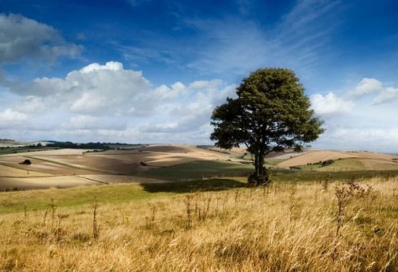 فندق Holiday Inn Express And Suites Dawson Creek, An Ihg