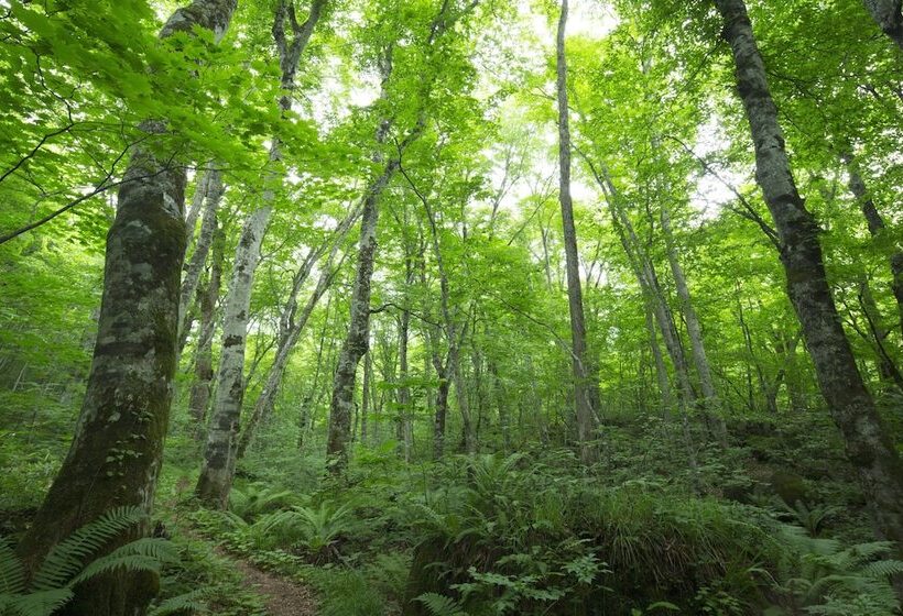 בית מלון כפרי Hoshino Resorts Oirase Keiryu