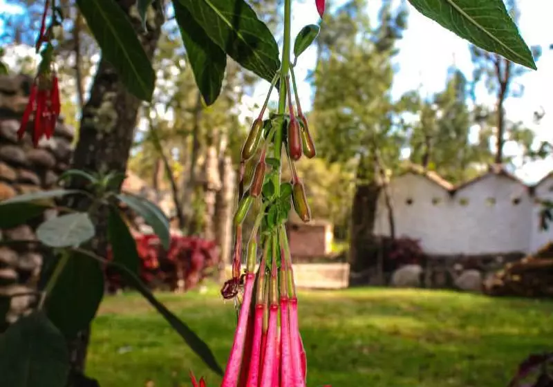 هتل Logde Casa De Campo & Retreat Center