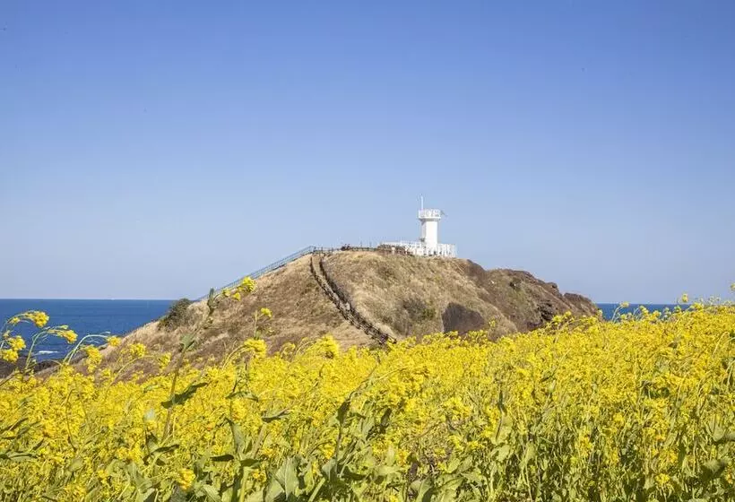 Отель Phoenix Island