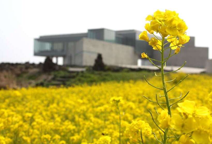 בית מלון כפרי Phoenix Island