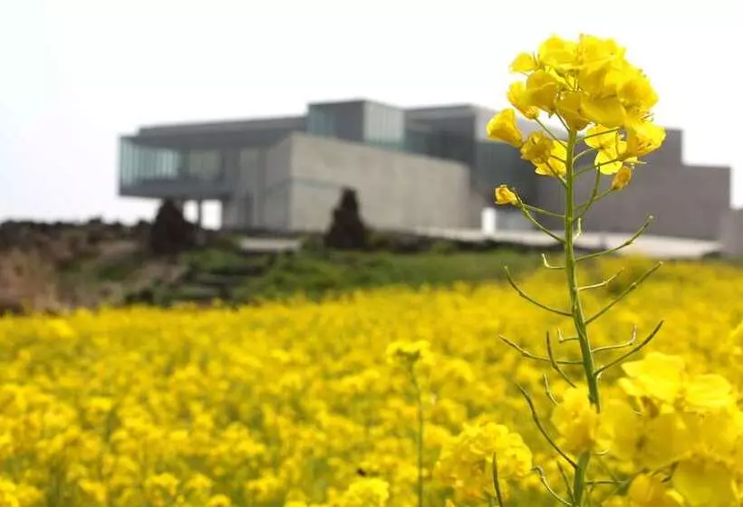 Отель Phoenix Island