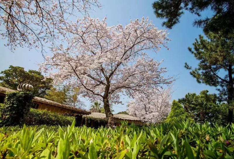 호텔 The Seaes & Resort