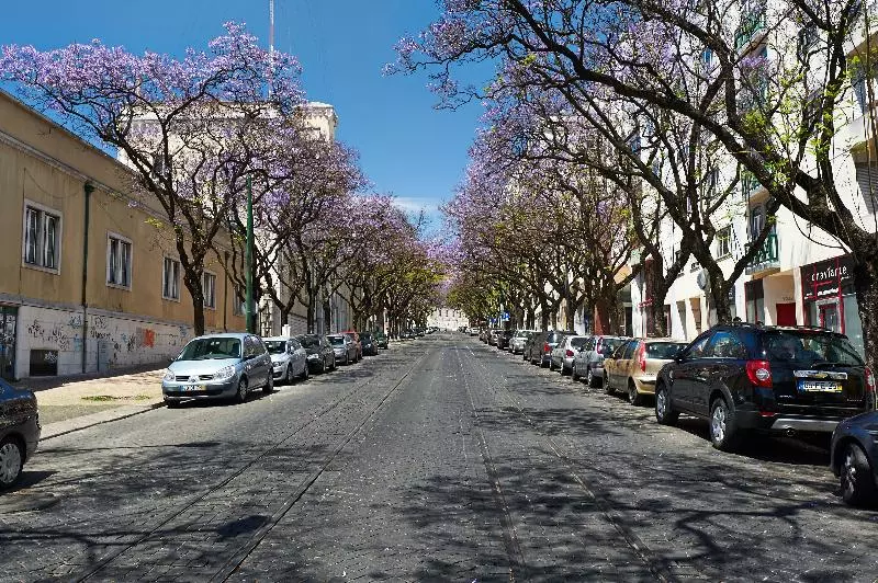 Hello Lisbon Conde Barão Apartments