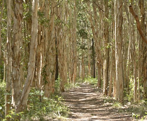 Rainbow Beach Resort