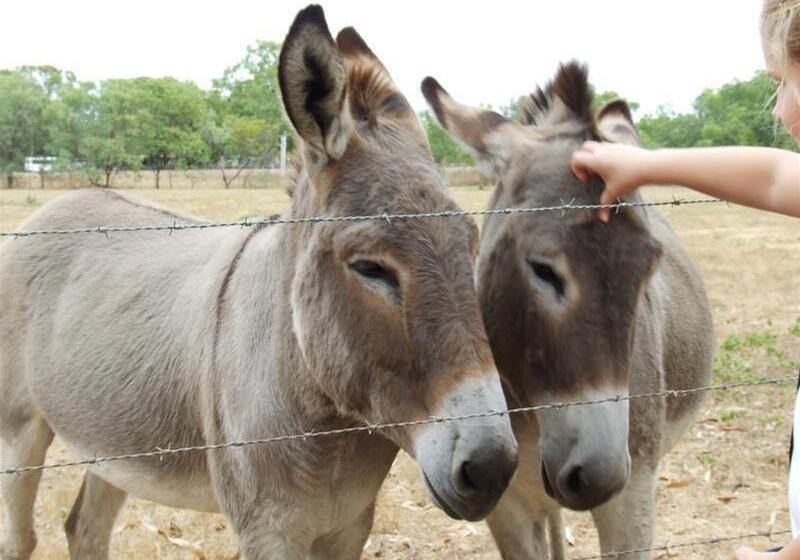 Territory Manor Motel & Caravan Park