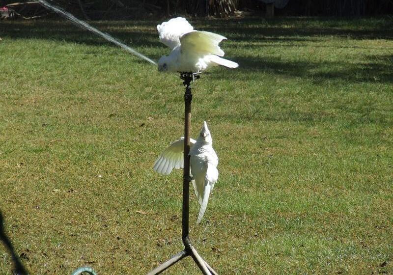 Territory Manor Motel & Caravan Park