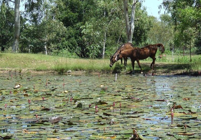 Territory Manor Motel & Caravan Park